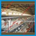 Bird Cage for Hot Sale to Algeria and Africa